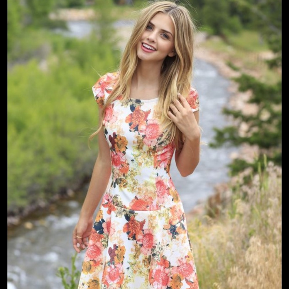 Shabby Apple Mabel Fit & Flare Dress Pink Floral